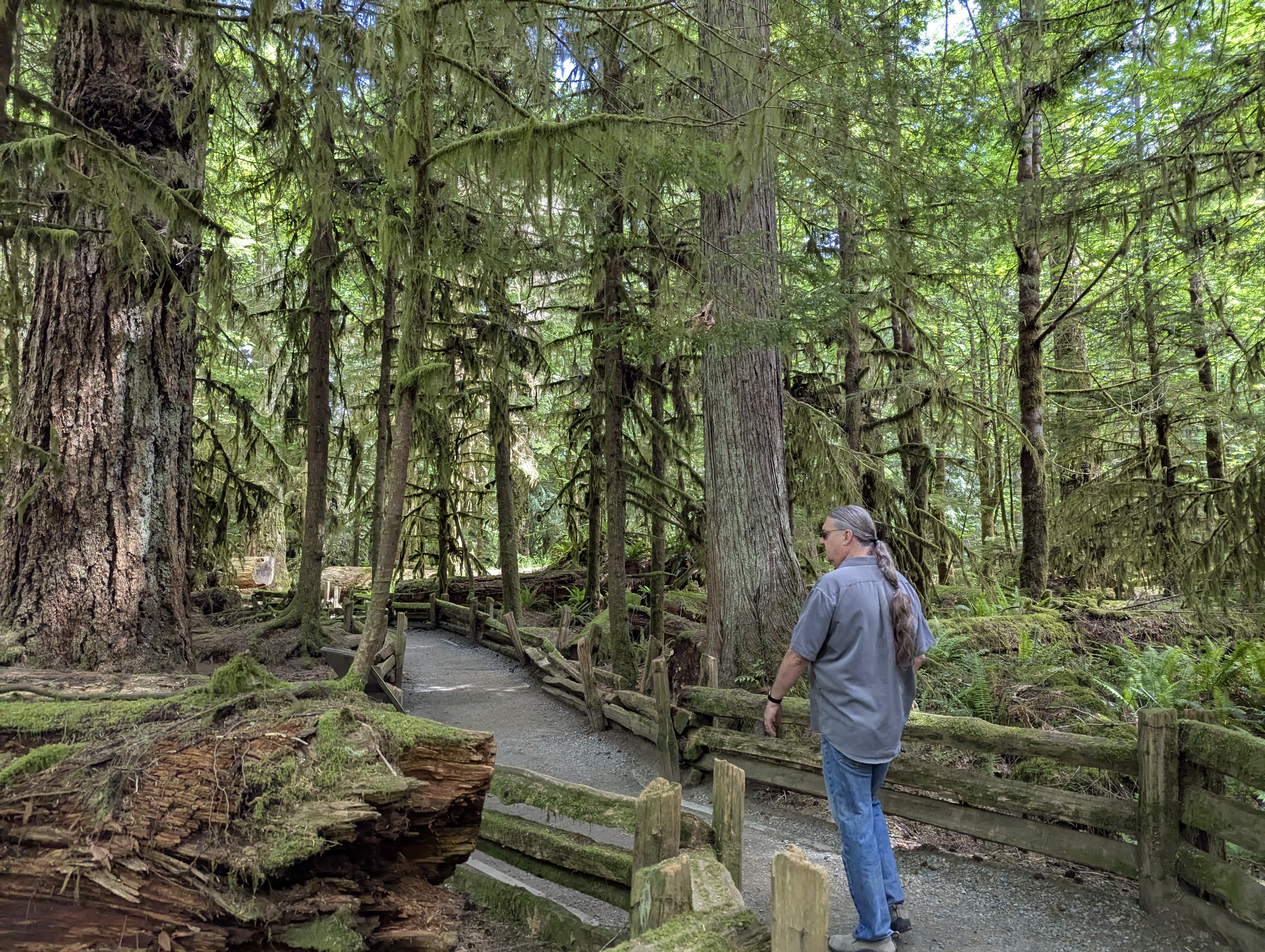 Birthday Trip to Canada, Cathedral Grove, Vancouver Island